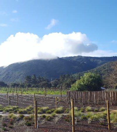 A trip to Carmel, California helped understanding the impact of strategic thinking on business success