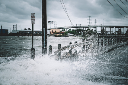 Visual insight into Hurricane Harvey's disruptive effects on global supply chain operations and resilience strategies.