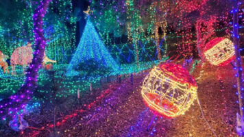 Season's Greetings from Lisa Anderson: Spreading Joy and Celebrating the Holiday Season with Warm Wishes