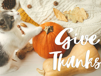 Give Thanks: Embracing Gratitude and Celebrating Appreciation in Personal and Professional Life