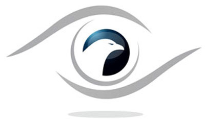 What is an Eagle Eye Strategic Focus? - LMA-Consulting Group, a