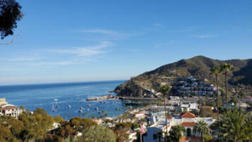Exploring Value-Added Services: Catalina Eco-Tour Insights - LMA Consulting Group