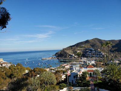 On the Eco Tour of Catalina