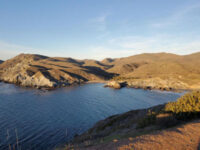 The Backside of the Island The Backside of the Island