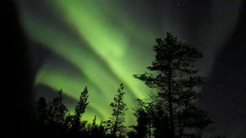 Experience the adventure of Northern Lights Husky Sleighs, a powerful strategy for success showcased by LMA Consulting Group