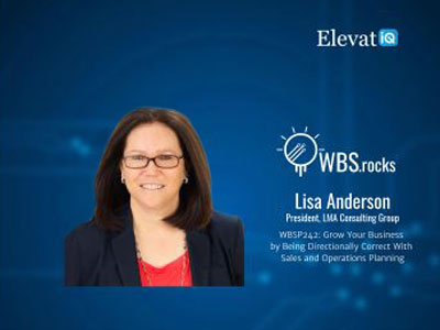 Insights into SIOP and SOP strategies discussed in an interview with Lisa Anderson and WBSRocks, offering valuable operational knowledge