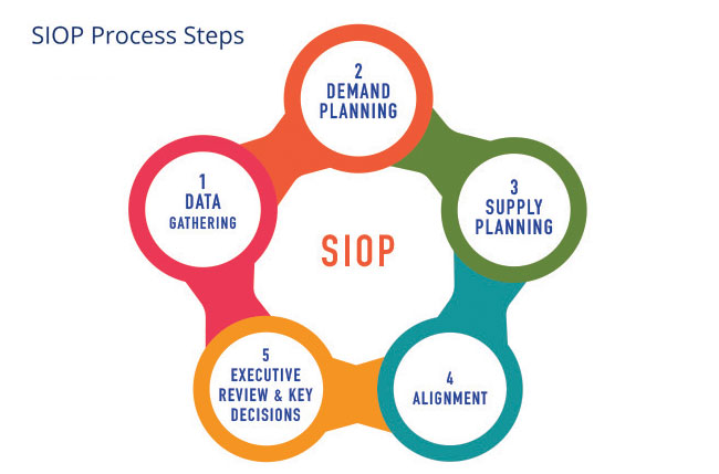 SIOP Process Steps